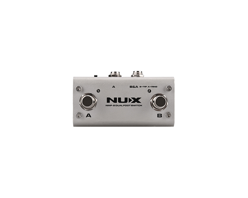 NMP-2